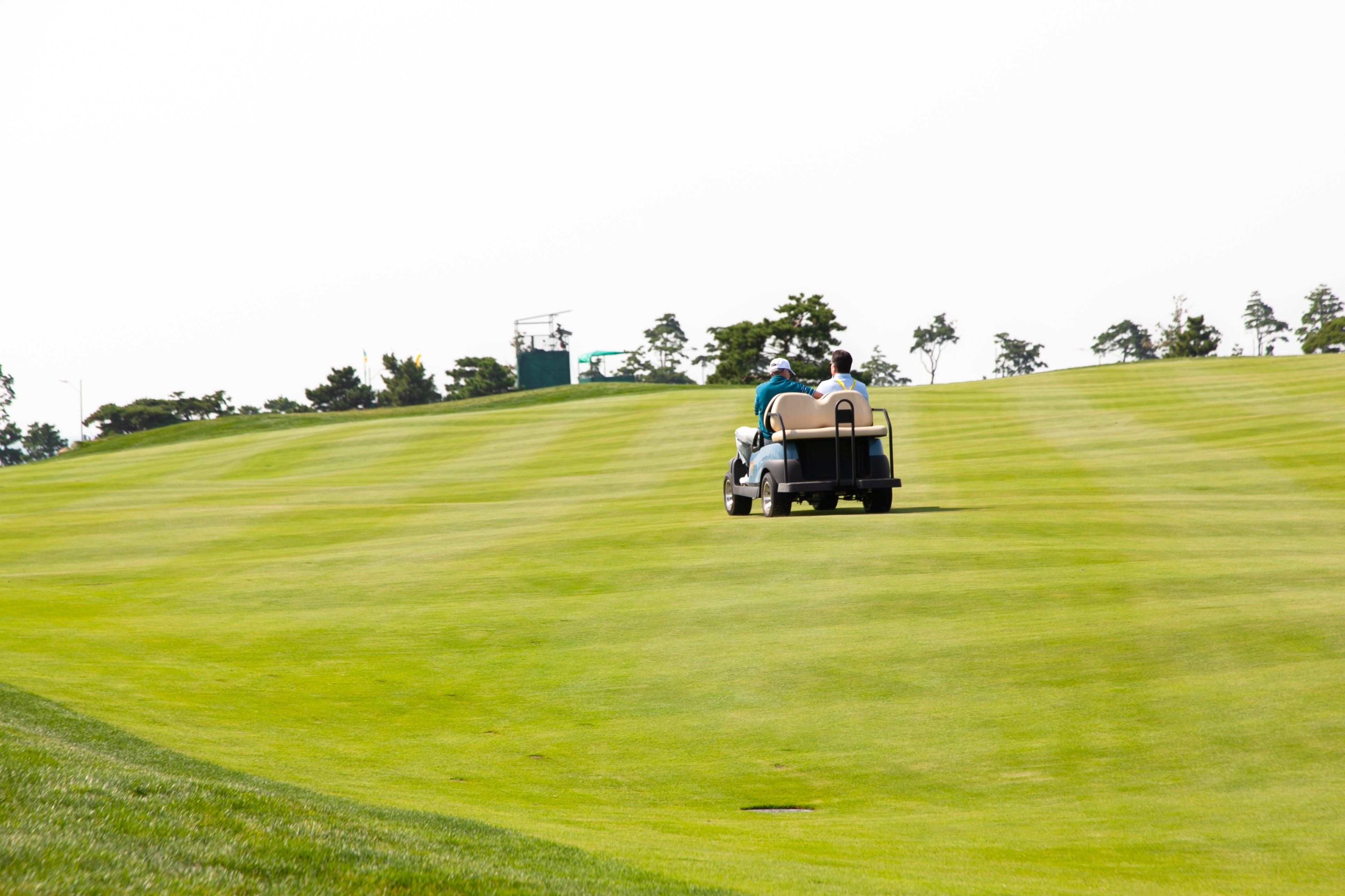 How to Properly Maintain Your Matrix Golf Cart Battery